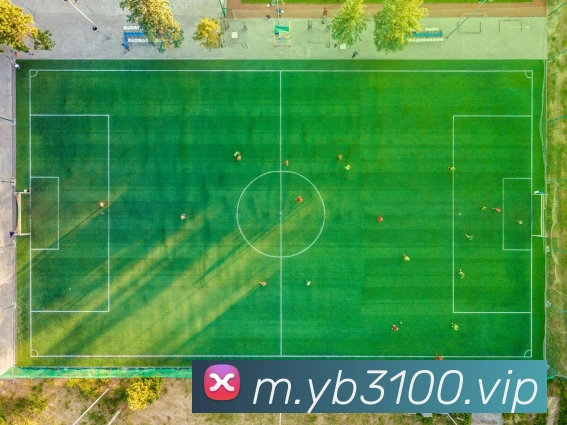 yb亚博服务体系